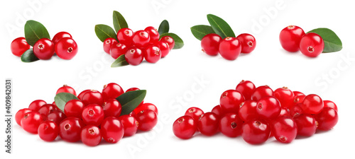 Bilde på lerret Set of fresh ripe cranberries on white background. Banner design