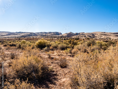 Canvastavla Butler Wash Road, Combs Ridge, Bears Ears National Monument near Bluff, Utah at
