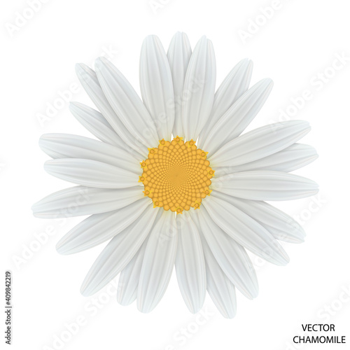 Chamomile flower top view. Vector EPS 10.