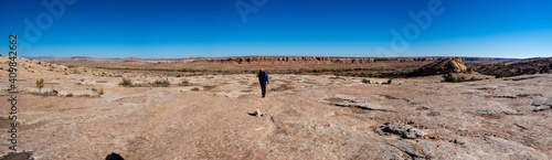 Fotografie Walk to Processional panel petroglyphs at Combs Ridge, Butler Wash Road, Bears E