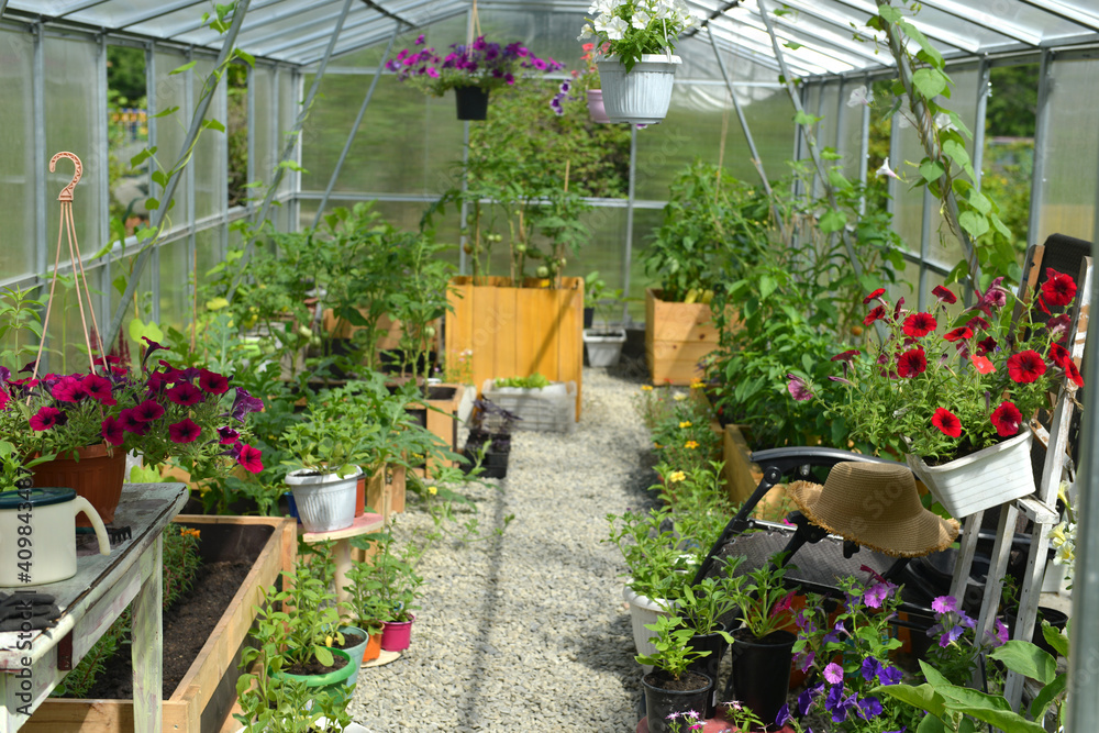 View of greenhouse with flowers and vegetables in sunny day.