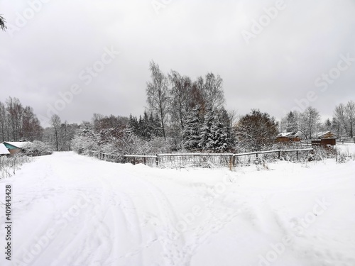 winter day in a Russian village trees in the snow frost