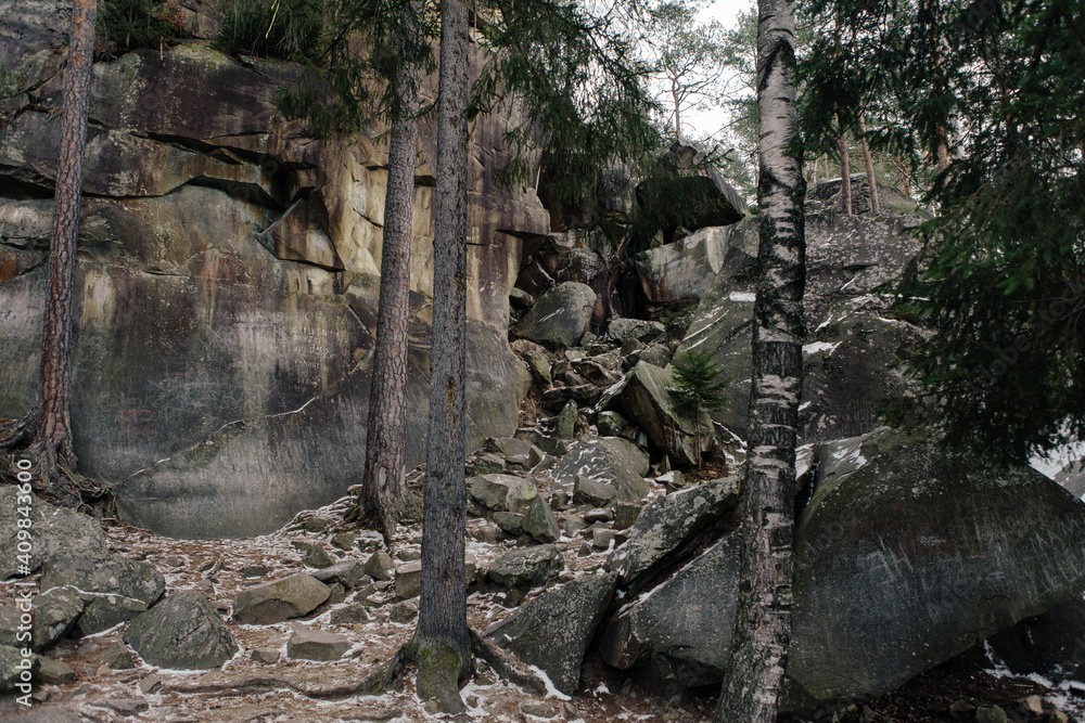 Landscape in the forest in the mountains. Rocks and tree trunks covered in moss