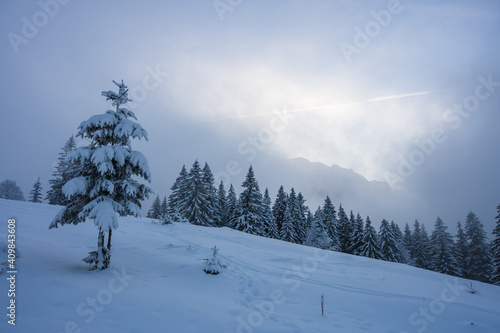 Obraz na płótnie Winter landscape in Romanian Bucegi mountain range with snow covered trees during a cloudy winter day w salonie