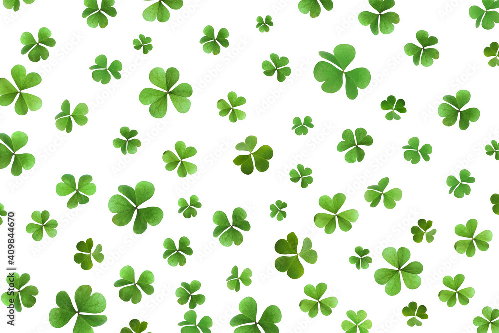 Fresh green clover leaves on white background. St. Patrick's Day Fresh green clover leaves on white background. St. Patrick's Day