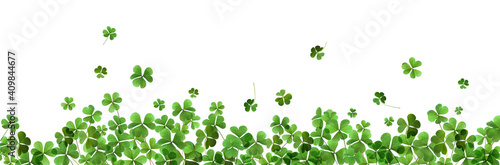 Fényképezés Fresh green clover leaves on white background, banner design