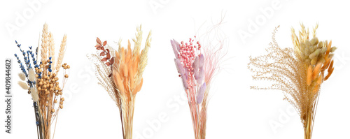 Set with beautiful decorative dry flowers on white background, banner design © New Africa
