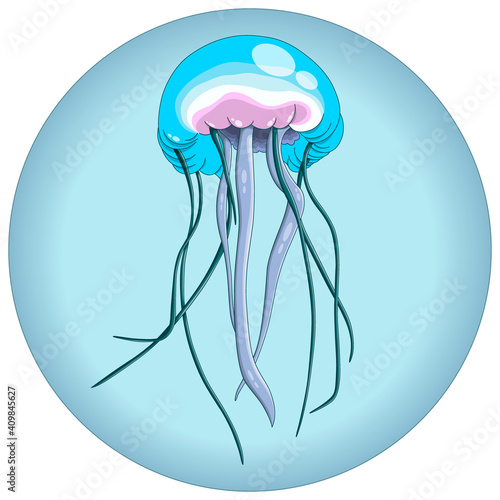 Vector composition of blue jellyfish