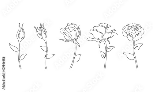 One line roses flower set. Abstract art, Hand drawn continuous line drawing of rose flowers. Rose tattoo minimalist illustration
