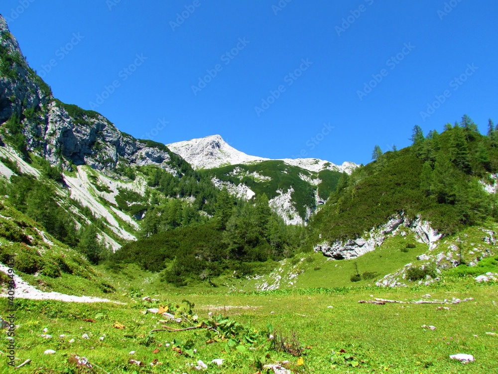 View of an alpine landscape covered with a grass covered plateau in front and a peak behind in Julian alps and Triglav national park, Slovenia