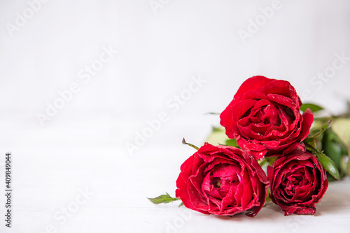 Fototapeta Naklejka Na Ścianę i Meble -   Valentine day.  Red Rose with heart on white background.  Lover heart romantic in valentine day.  Holiday Concept, select focus.