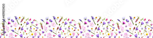 Pattern from plants, wild flowers isolated on white background, top view. Banner,border.The concept of summer, spring, Mother's Day, March 8. 