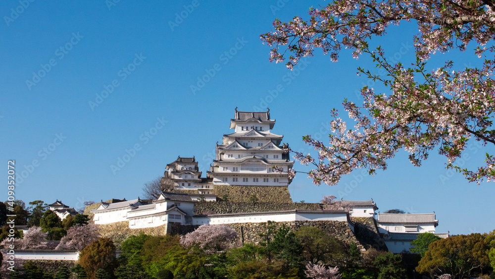 Hymeji Castle with sakura, (cherry blossoms in Japanese) Hymeji, Kobe, Japan, April 2019 Hymeji Castle with sakura, (cherry blossoms in Japanese) Hymeji, Kobe, Japan, April 2019