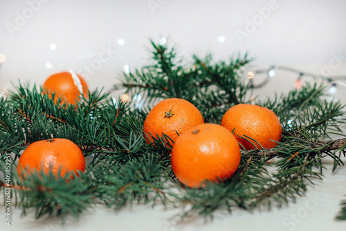 Clementines on a spruce branch against the background of a Christmas garland.