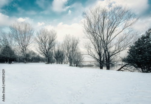 overview on a snowy landscape