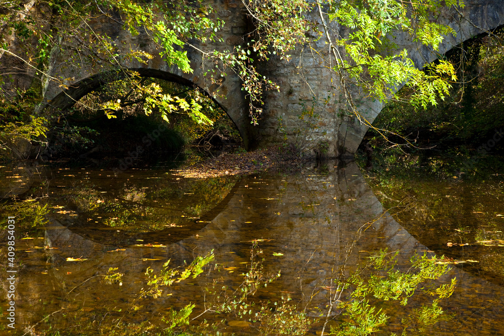 Forest in autumn. Gorbeia Natural Park, Altube, Alava, Basque Country, Spain, Europe Forest in autumn. Gorbeia Natural Park, Altube, Alava, Basque Country, Spain, Europe
