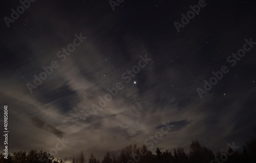 star filled sky over dark forest