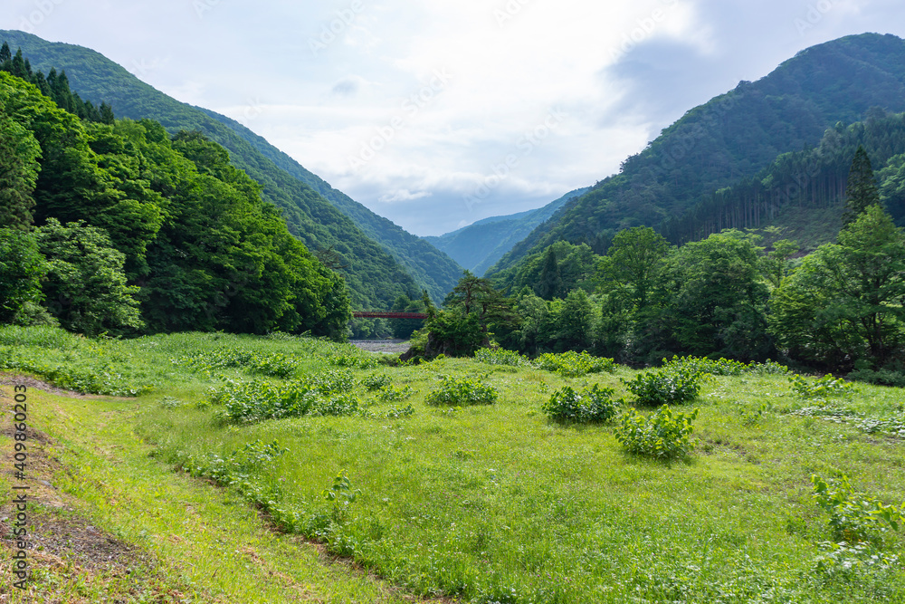 初夏の山あいの風景 初夏の山あいの風景