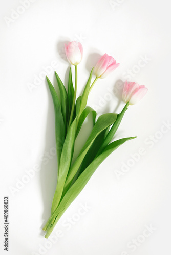 Pink tulips on a white background. Birthday. Happy women's day. Mother's Day. Valentine's Day. Flowers composition romantic. Flat flat, top view, copy space