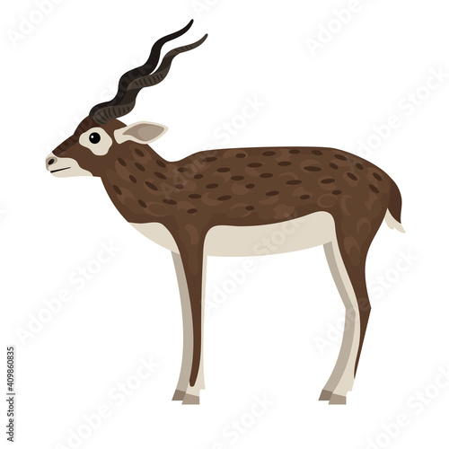 Wild antelope. Cartoon horned animal, elements of hunting trophy, fast beast of wildlife, vector illustration of blackbuck isolated on white background