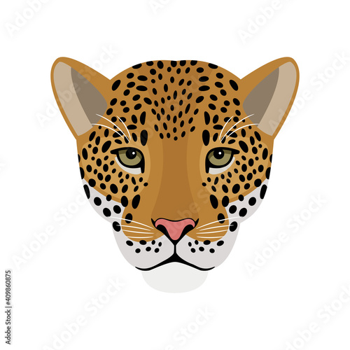 Jaguar head. Cartoon portrait of redhead beast of wildlife, symbol of hunting, vector illustration front face of aggressive cat isolated on white background