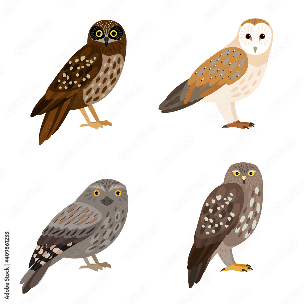 Fototapeta premium Different owl set. Cartoon beautiful forest flying character of ornithology, night birds with brown feathers, vector illustration of owles isolated on white background