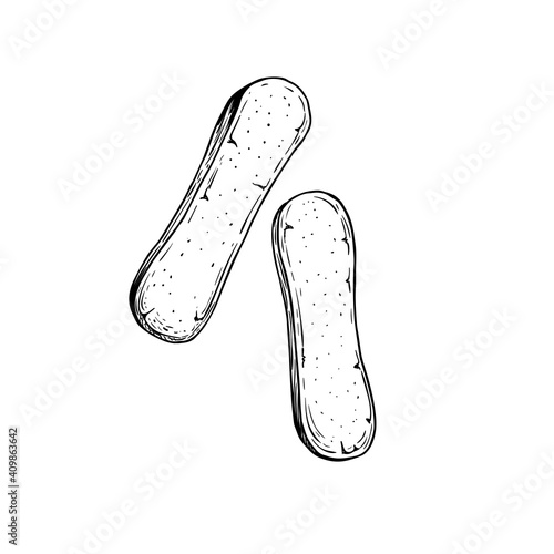 Savoiardi biscuits in sketch style. Top view. Hand drawn Italian dessert tiramisu ingredient. Traditional Italian sweet. Vector illustration isolated on white background.