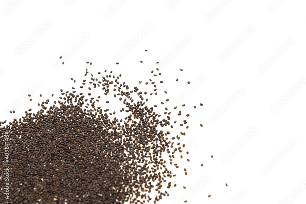 Many Basil or Ocimum basilicum seeds spreading on isolated white background Many Basil or Ocimum basilicum seeds spreading on isolated white background