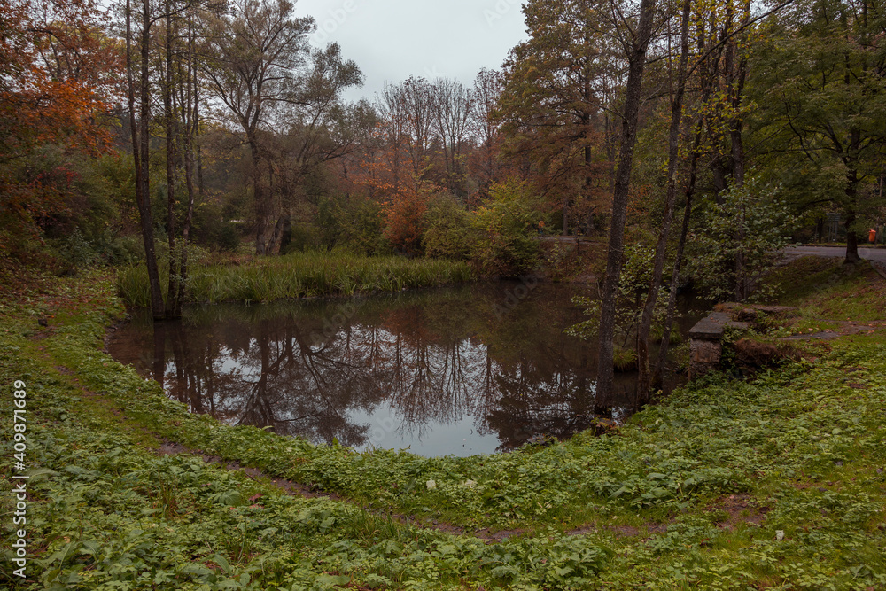 Autumn in the park. Autumn park at the time of mass leaf fall. Autumn concept. Wonderful colors of autumn.