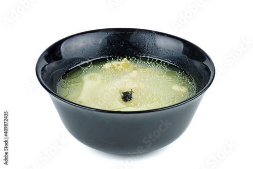 Dead fly in the bowl of soup. White background