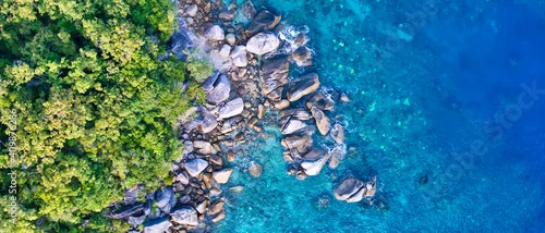 Panel kuchenny z motywem Rainforest, rocks and corals - Fitzroy Island