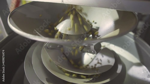 Soya beans on the processing belt, grain storage