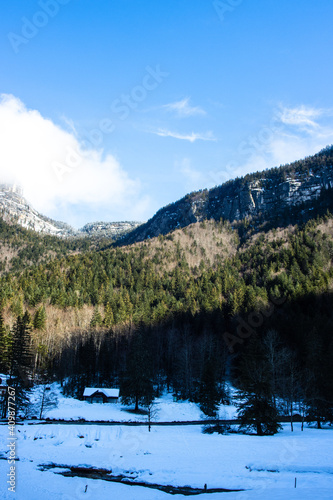 Fototapeta Naklejka Na Ścianę i Meble -  snow-covered trees, Alpes