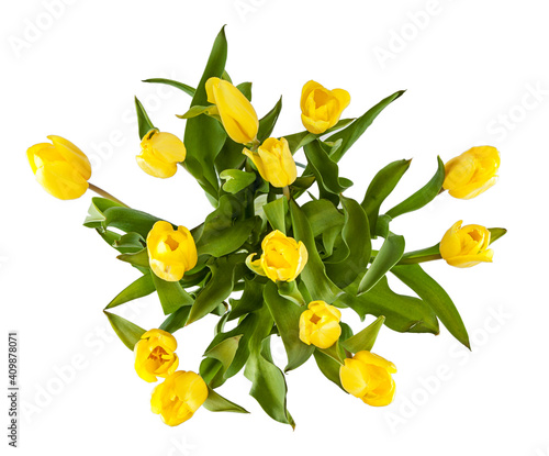 Wallpaper Mural Bouquet of fresh spring tulips isolated on white background. View of another flower in the portoflio. Torontodigital.ca