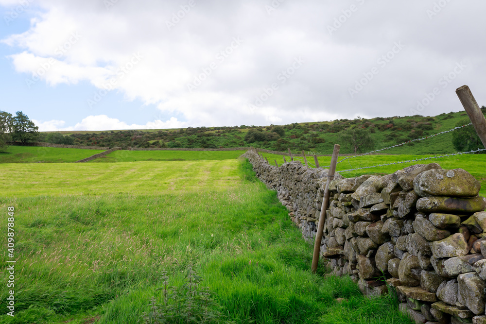 Traditional stone wall on the Pennine Way. Farmland in Bowlees Tees Valley, County Durham
