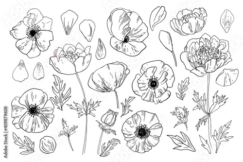 Poppy flower in memory of the victims of the First World War. Flowers for the memorial. Remembrance day.