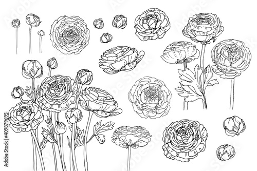 Obraz na plátně Flowers vector line drawing