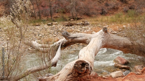 Φωτογραφία Mountain river in Zion national park, autumn in Utah, USA