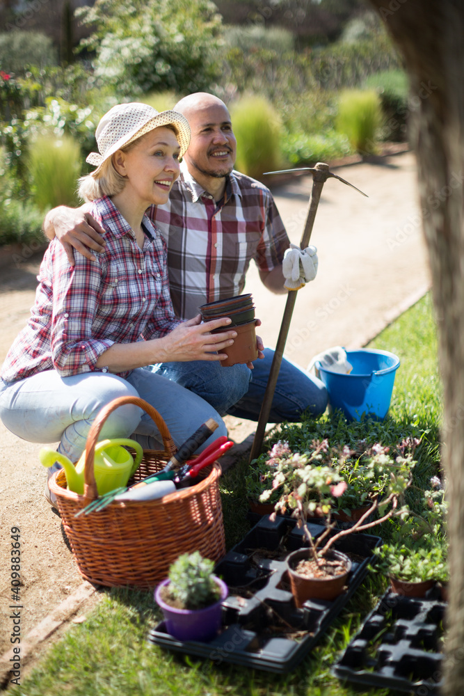 woman and man look after roses in the garden