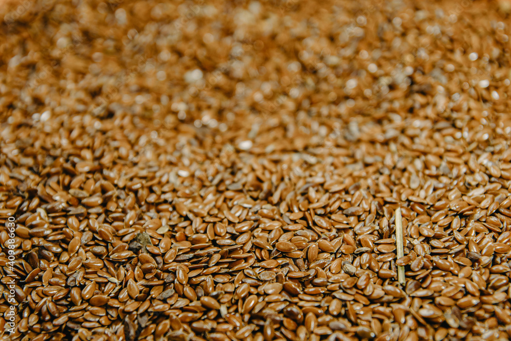 Obraz premium sifted flax seeds are poured