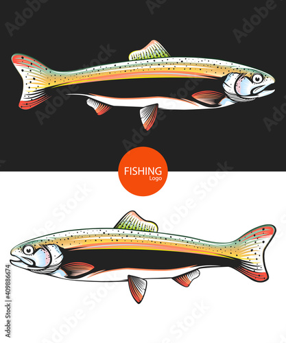Rainbow trout jumping out water.Salmon isolated on white background. Concept art for horoscope, tattoo or colouring book.