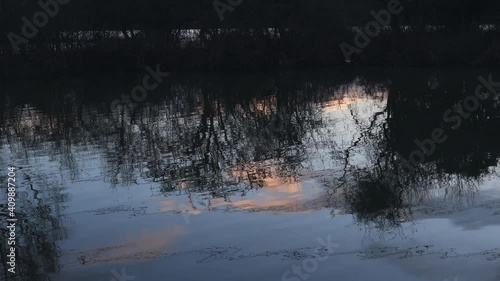 Bare winter trees reflected on pond water at dusk with tranquil waves photo