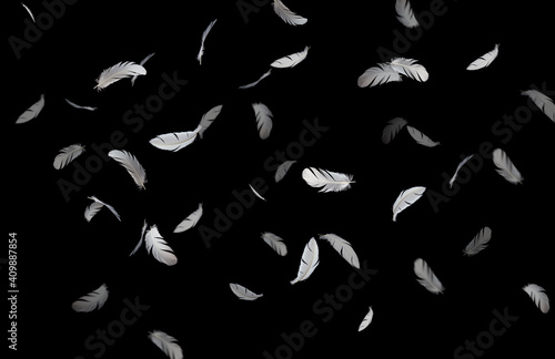 Abstract, Group of bird feathers floating in the dark. black backgrond. © Siwakorn1933