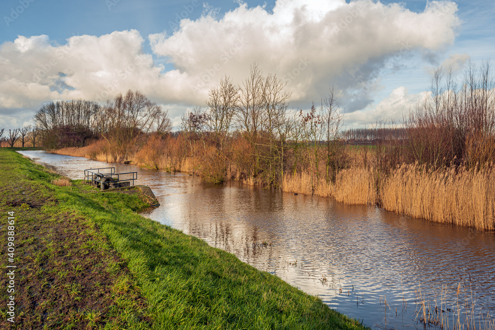 Old creek in a Dutch polder. The reeds on the other side of the water are dry and yellowed. A culvert is visible in the foreground, providing the connection to another watercourse.