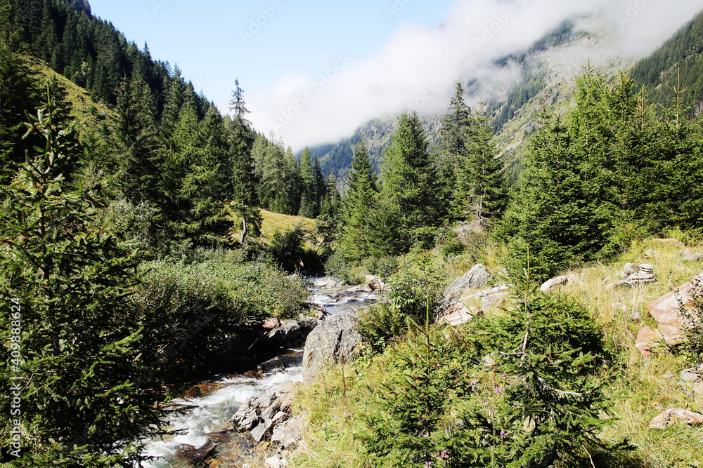 The mountain river Untertal valley in Styria, Austria	