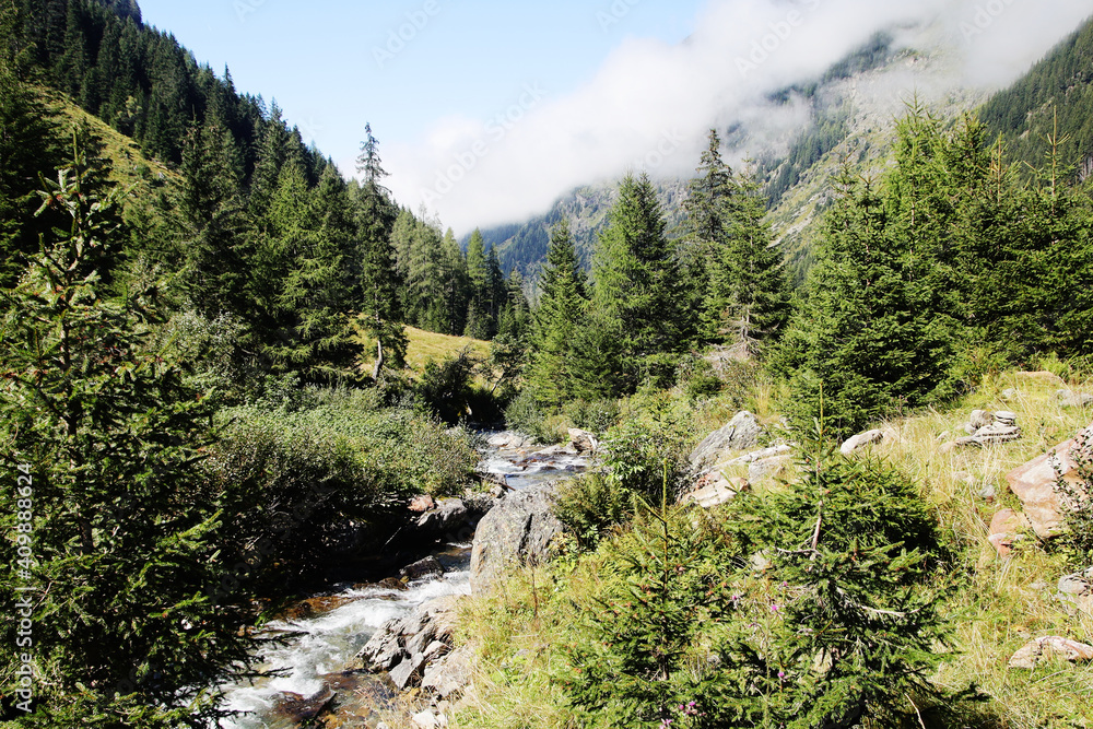 The mountain river Untertal valley in Styria, Austria The mountain river Untertal valley in Styria, Austria