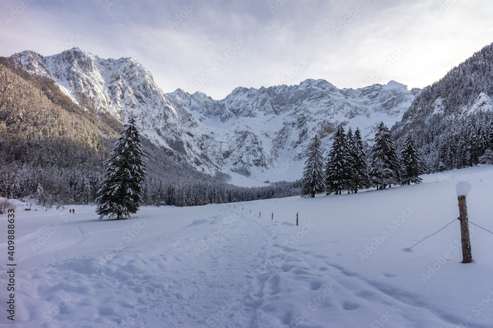 Aerial winter landscape mountain valley with forest covered in snow. Zgornje Jezersko, Slovenia.