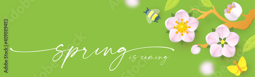 Spring background with soft flowers, bees and butterflies. Spring is coming design with apple and cherry blossom branch