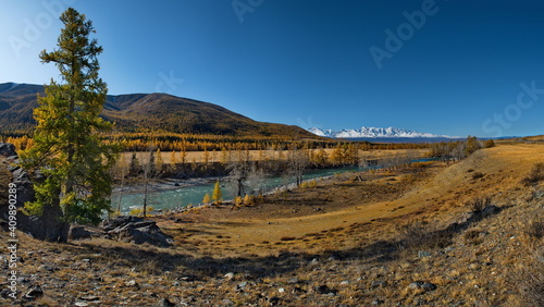 Russia. Gorny Altai. River valley along the Chuya Chuya highway near the village Jodro.