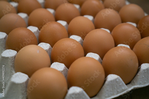 Skleaden in a row of eggs on a tray with brown shell